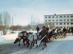 Шествие оленьих упряжек к стартовому городку. Традиционный районный Праздник Севера в Ловозере. 1989 год