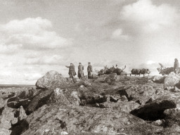 Изыскатели ''Лентранспроекта'' в Кейвах. 1940-е