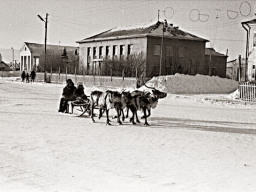 с. Ловозеро, 1973 год