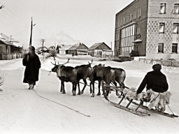 с. Ловозеро, 1973 год