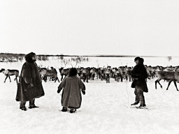 с. Ловозеро, 1973 год