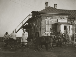 Больной доставлен в Ловозерскую больницу из тундры. 1954 год